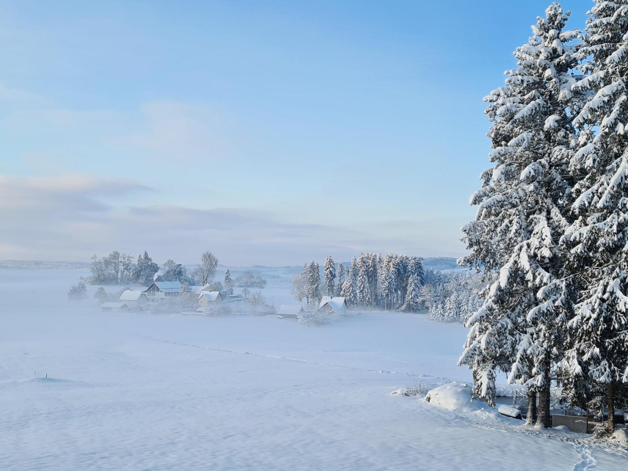 Appartement Alpenblick