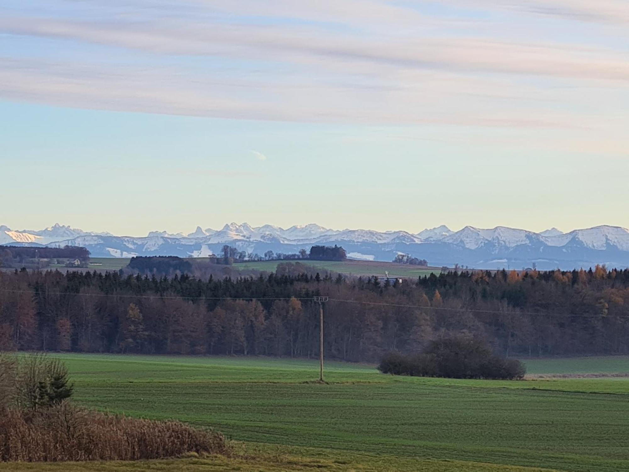 Appartement Alpenblick *