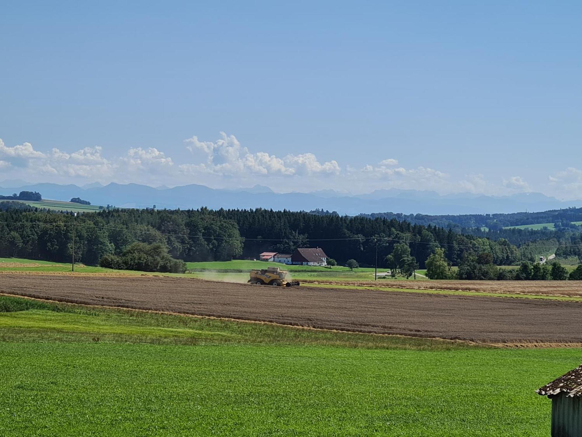 Alpenblick Appartement *